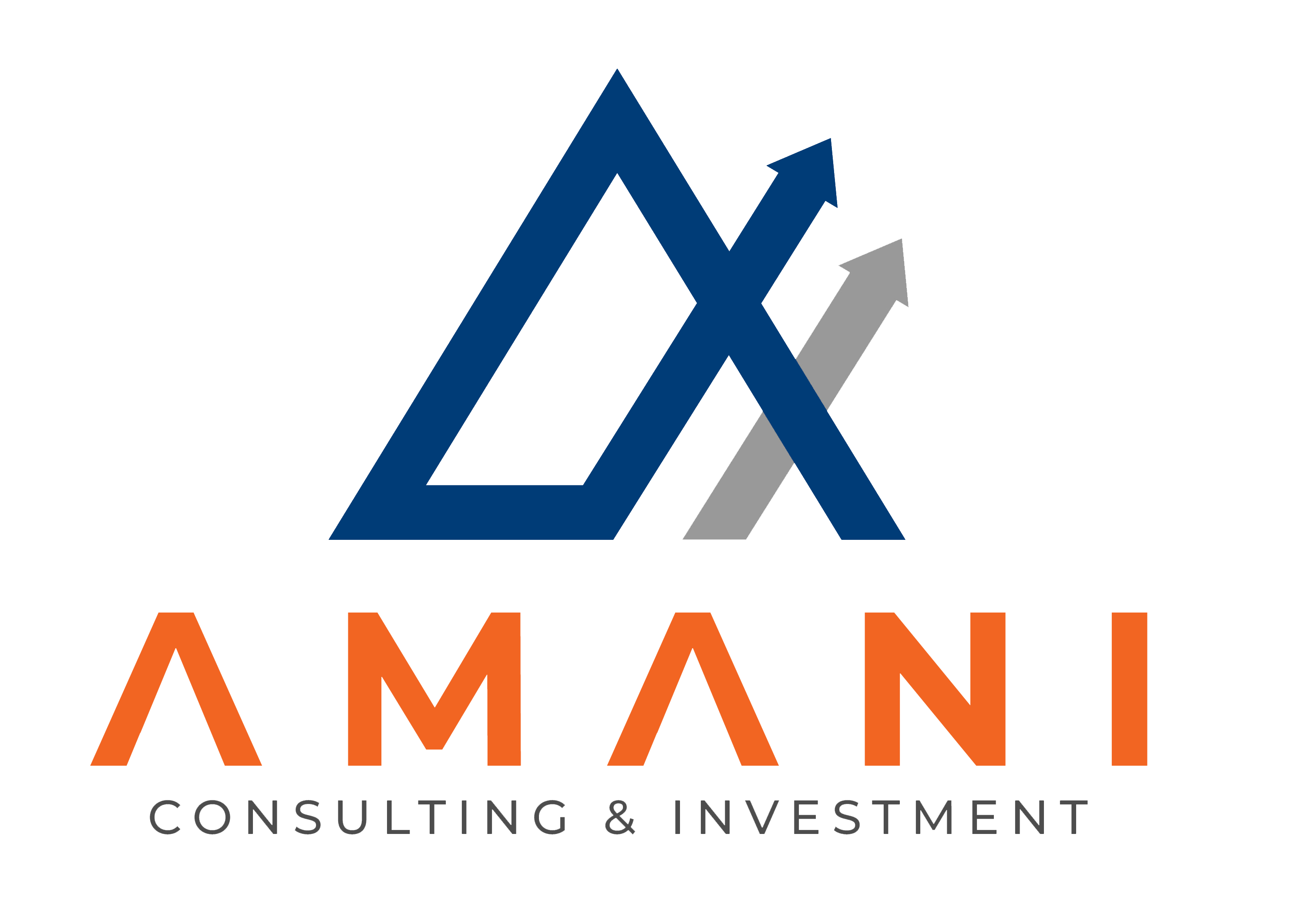 Amani Consulting & Investment